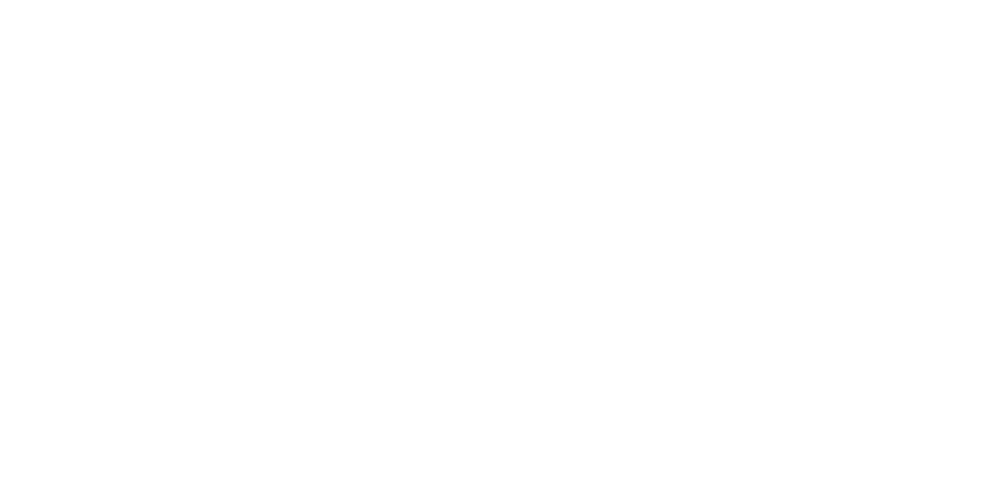 EverythingMotorsport Logo